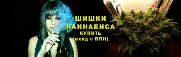 стаф Заволжье