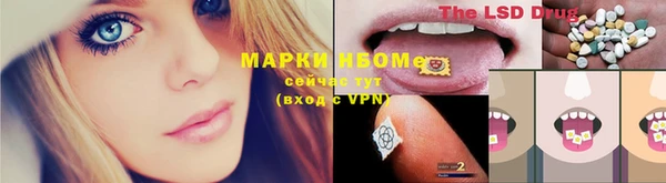 амф Заволжск