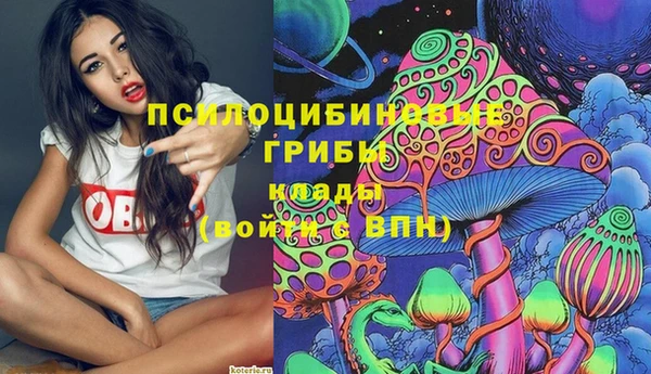 СК Заводоуковск
