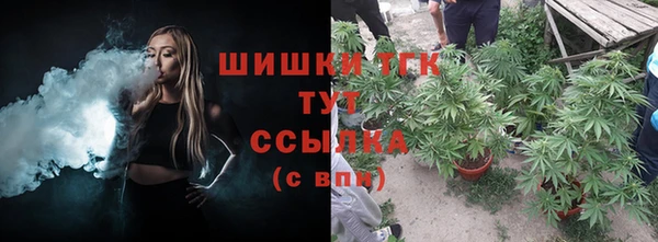 стаф Заволжье