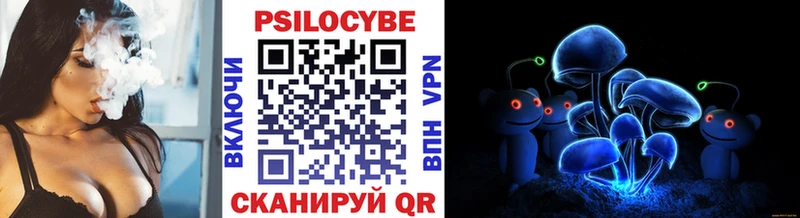 Псилоцибиновые грибы мицелий  Купить  Приволжск 